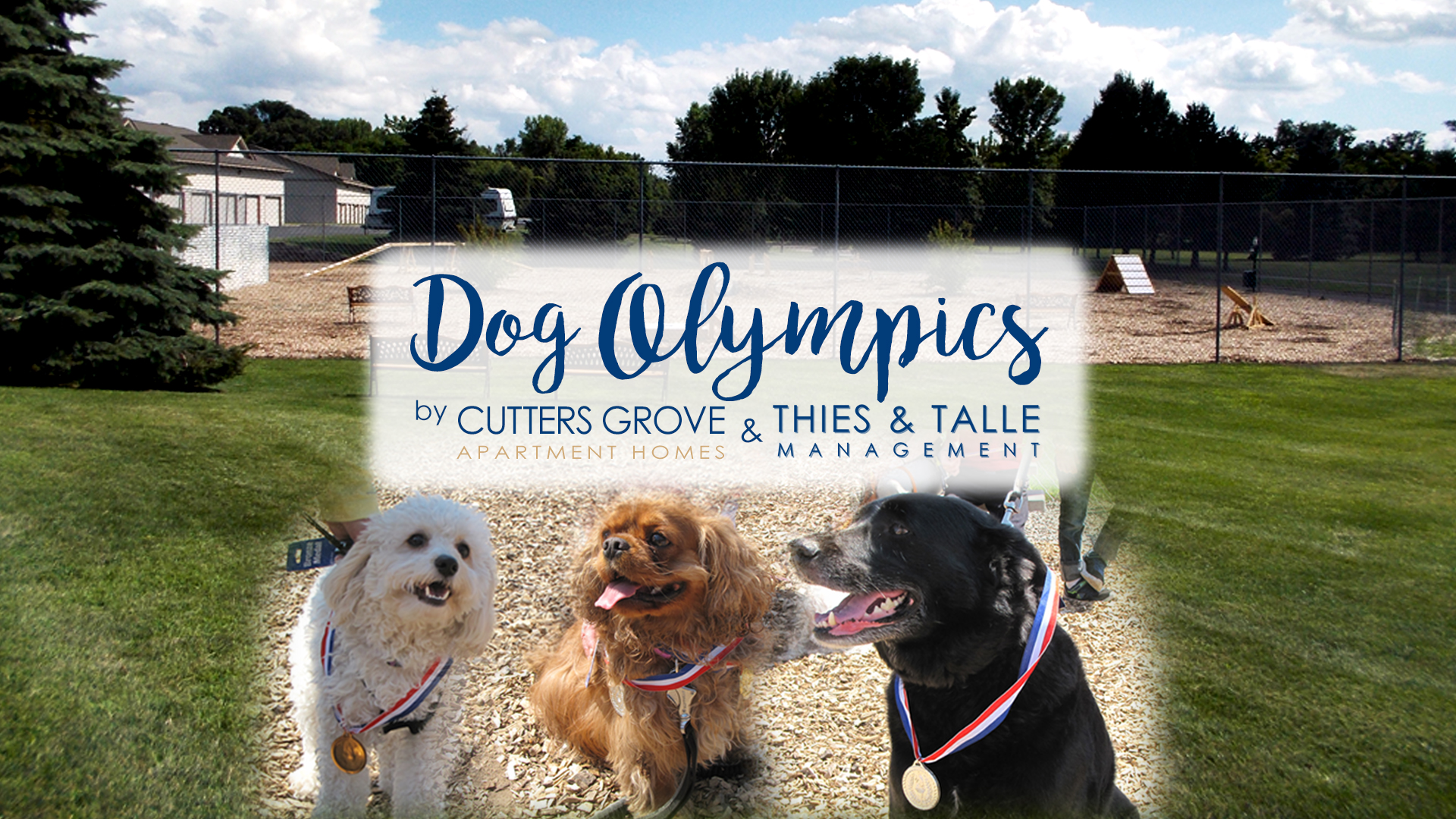 Cutters Grove Dog Olympics