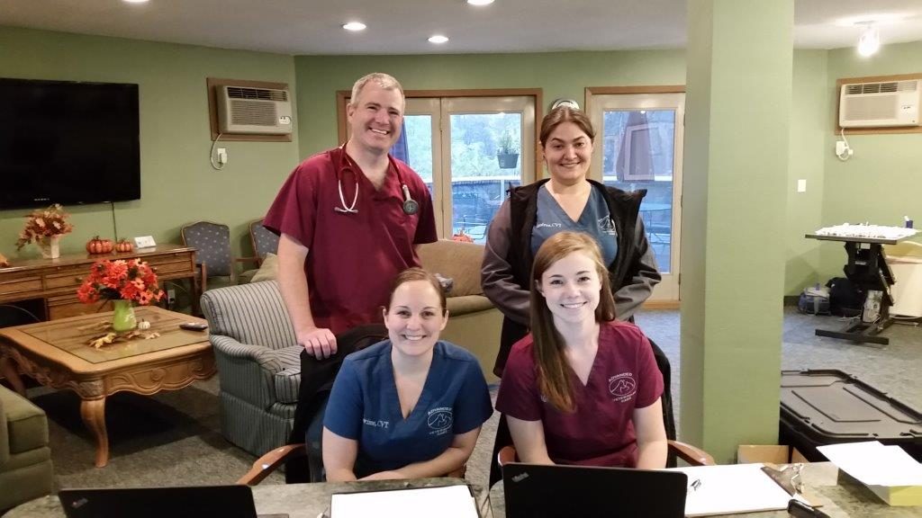 vet-clinic-employees
